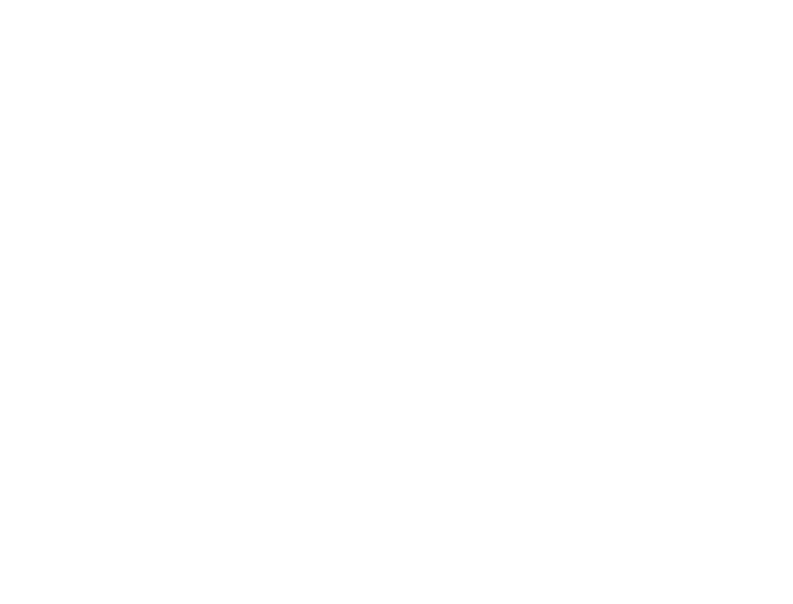 P20 STUDY